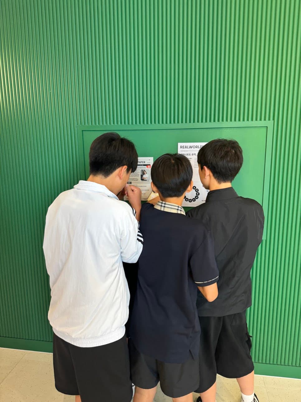프로젝트 이미지