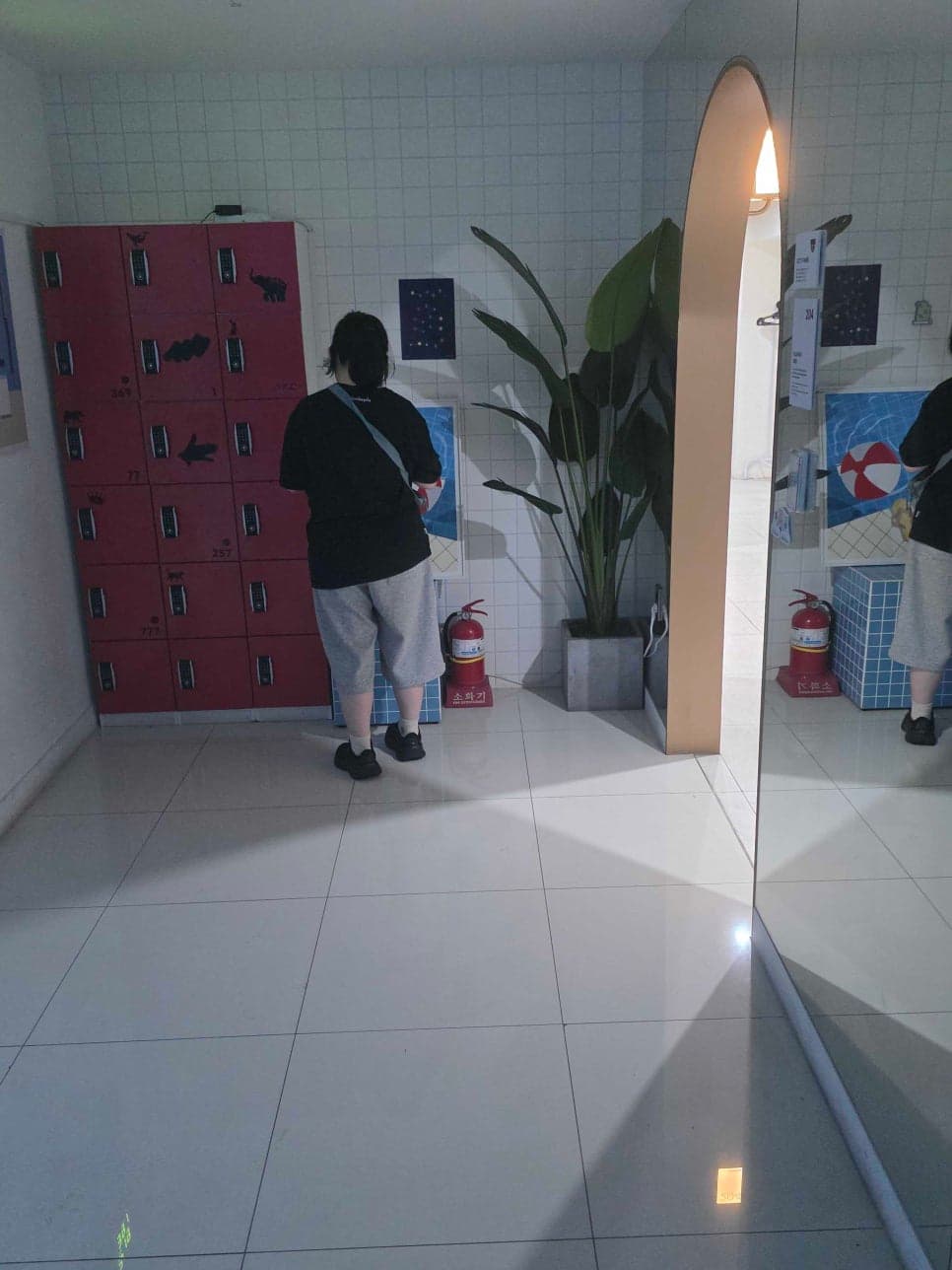 프로젝트 이미지